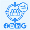 PERFORMANCE ELECTRONICS: Social Targeting Network Gold