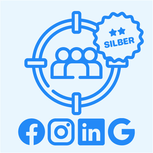 PERFORMANCE ELECTRONICS: Social Targeting Network Silver