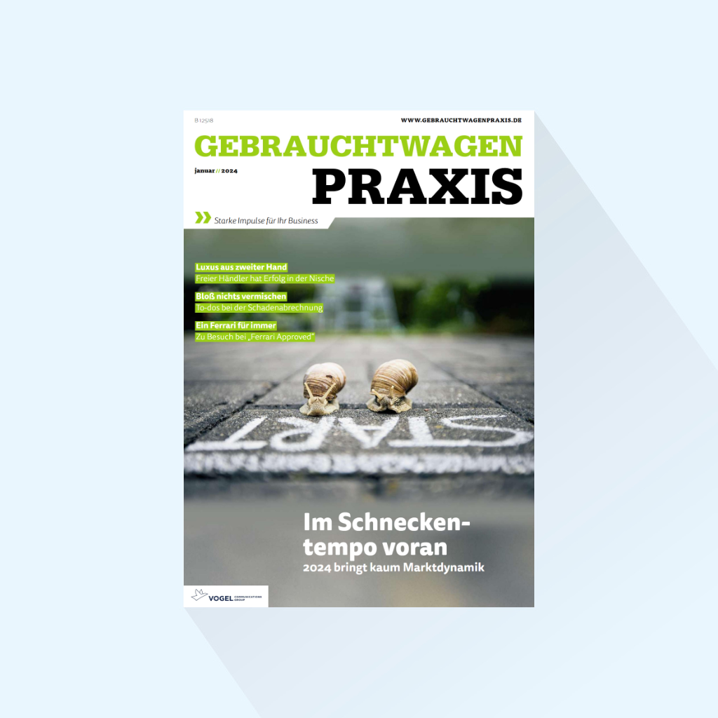 Gebrauchtwagen Praxis : Issue 1-25, Publishing Date 09.01.2025, Strategy 2025