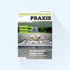 Gebrauchtwagen Praxis : Issue 1-25, Publishing Date 09.01.2025, Strategy 2025