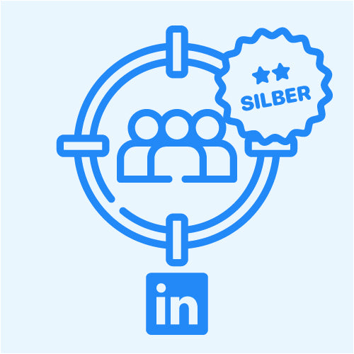 blechnetSocial Targeting LinkedIn Silver