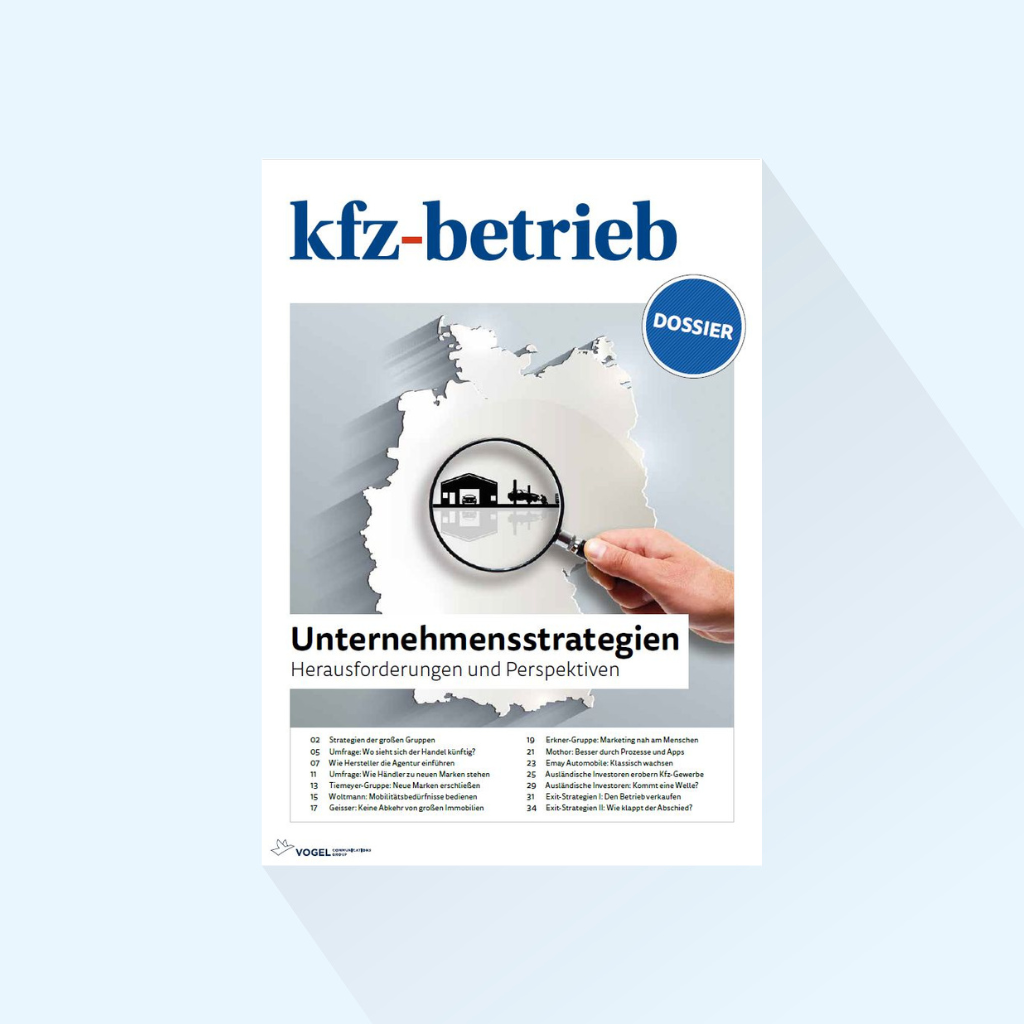 kfz-betrieb:集锦 "企业战略"，出版日期 01.04.2024