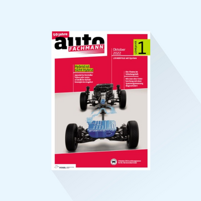 autoFACHMANN / autoKAUFMANN: Issue 3-24, Publishing Date: 19.09.2024