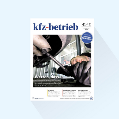 kfz-betrieb: Issue 41/42-24, Publishing Date: 18.10.2024 (Online Sales/Tires & Wheels)